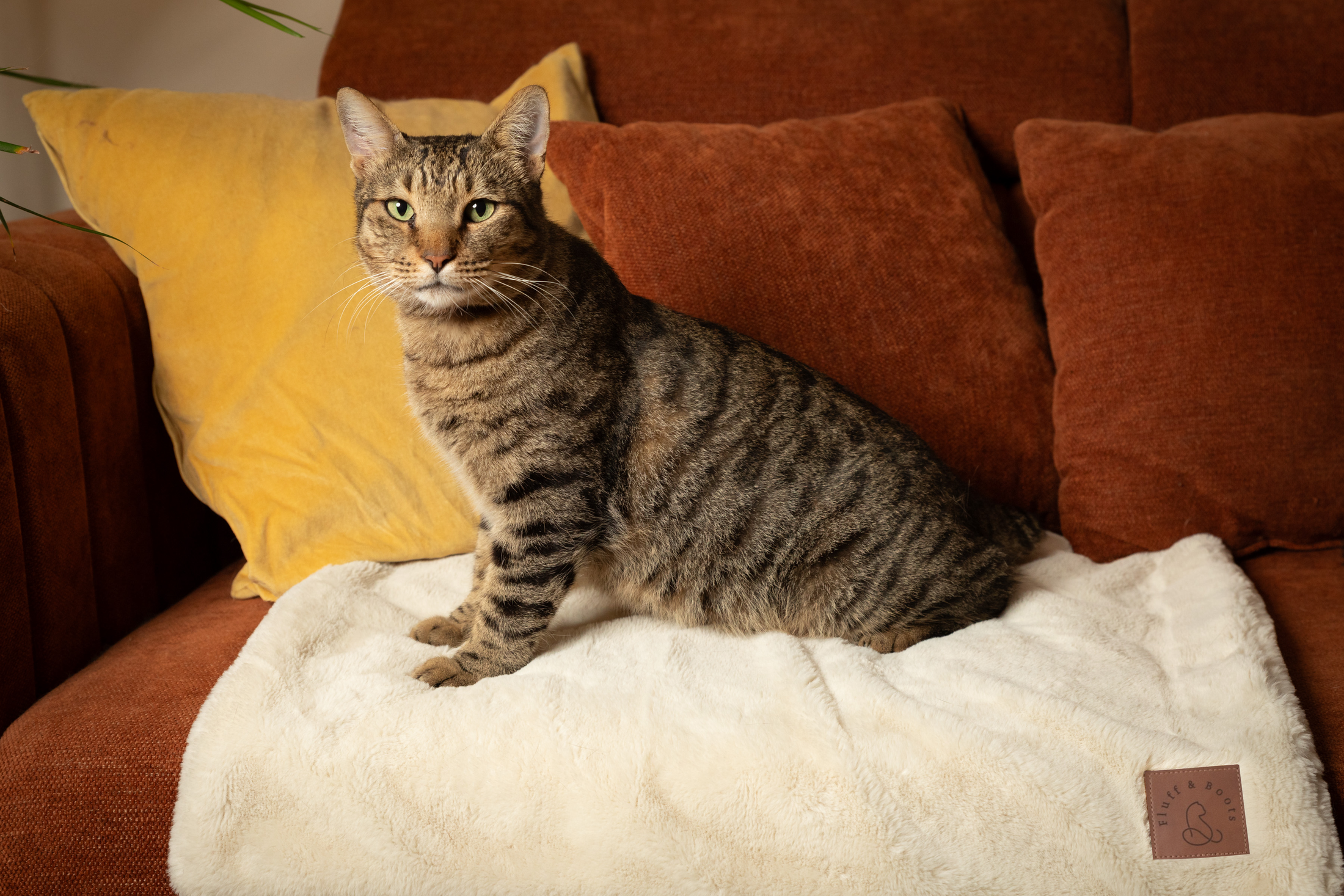 Premium Blanket Fluff and Boots